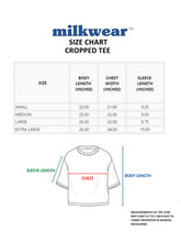 Load image into Gallery viewer, PRIDE | All Love, All Fam Cropped Boxy Tee