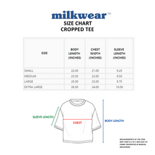 Load image into Gallery viewer, PRIDE | Rainbow Chest Cropped Striped Tee