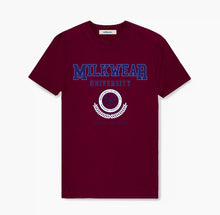 Load image into Gallery viewer, University Tee in Maroon

