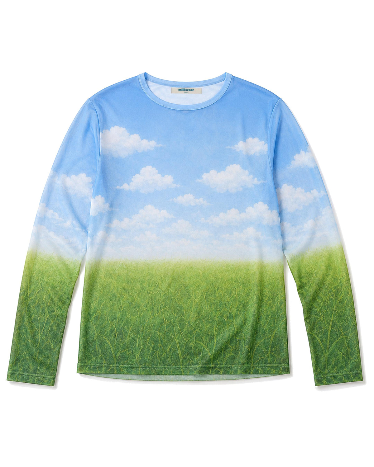 Mesh Long Sleeves Printed Top