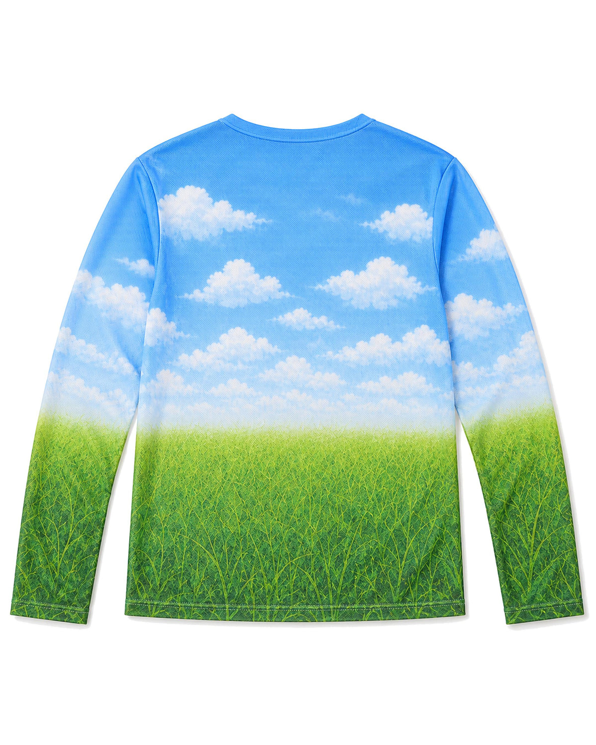 Mesh Long Sleeves Printed Top