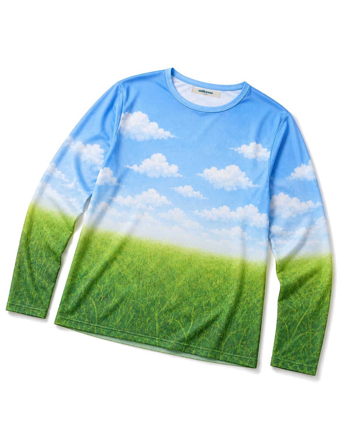 Mesh Long Sleeves Printed Top