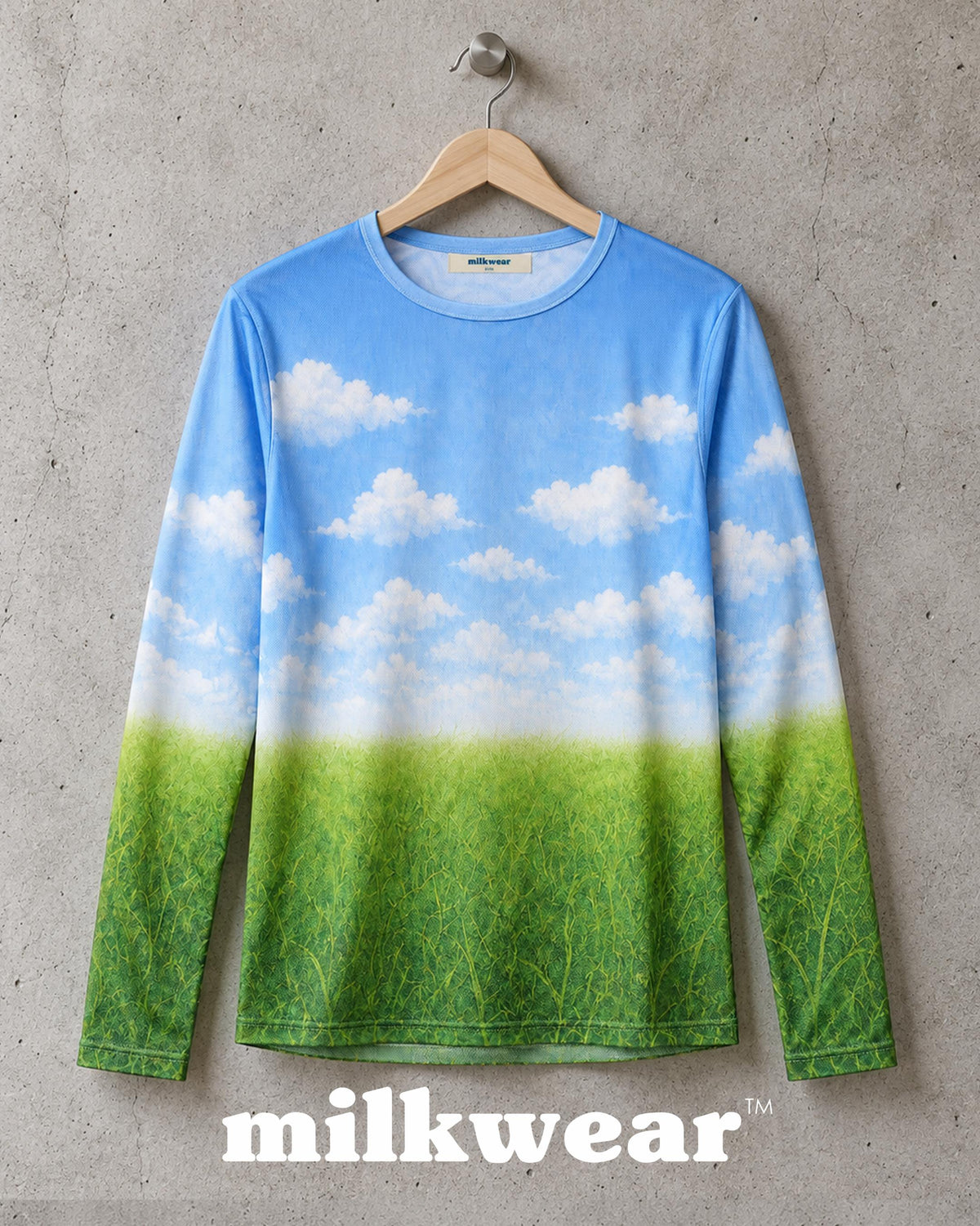 Mesh Long Sleeves Printed Top