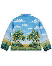 Load image into Gallery viewer, Lemon Field Tapestry Jacket
