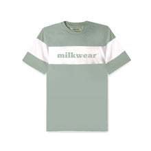 Load image into Gallery viewer, Oversized Preppy Vintage Tee in Pistachio
